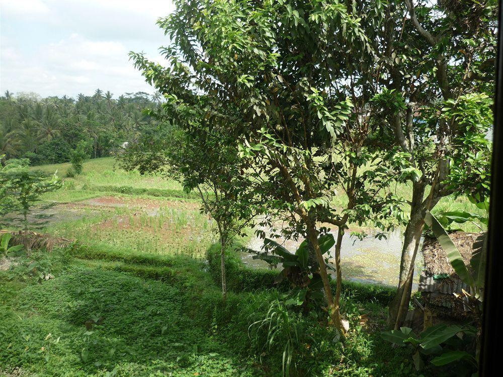 Kudos Guesthouse Ubud מראה חיצוני תמונה