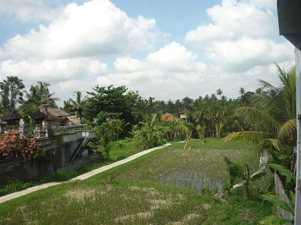 Kudos Guesthouse Ubud מראה חיצוני תמונה